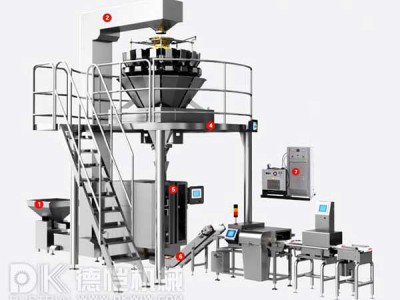 自動包裝機(jī)-稱重包裝系統(tǒng)